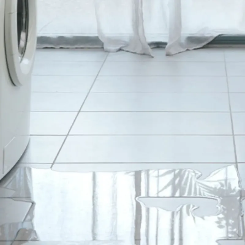 Appliance Leak Cleanup in Snohomish County, WA