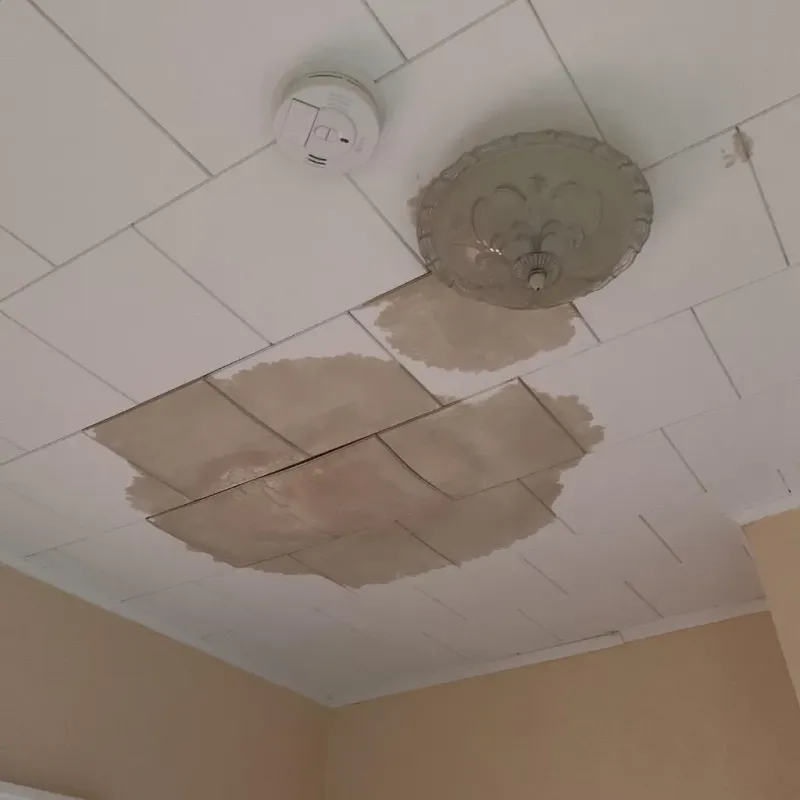 Ceiling Water Damage Repair in Snohomish County, WA